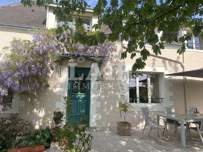 Maison De Village Perche Sarthois - B13646