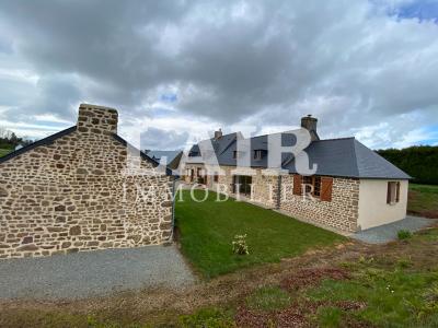 Belle Propriete En Pierres - Lassay Les Chateaux - Ref O12253