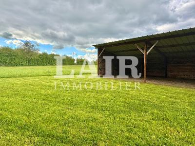 Belle Maison A Vendre A Sees, Avec 8 Hectares D\'herbage Attenant Et Clos.