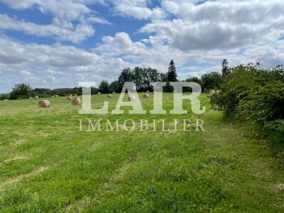 Propriete A Vendre Sur 5.5 Hectares