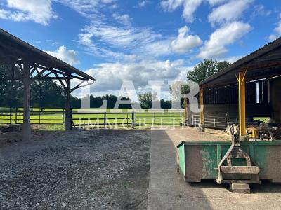 Mortagne Au Perchecorps De Ferme De Caractere Sur 4 Hectares De Prairie