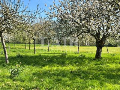 Domaine Exceptionnel Aux Portes D\'alencon.