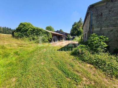 Ensemble Immobilier A 12kms De Sees