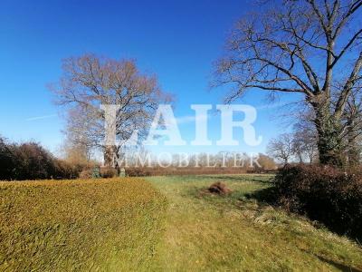 Propriete Secteur Ecouche Les Vallees Ref : E13454
