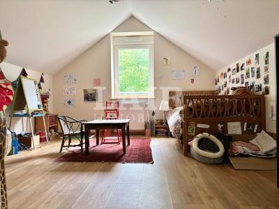 Jolie Maison En Pierre, Sur 1hectare, A Vendre A Conde-sur-sarthe