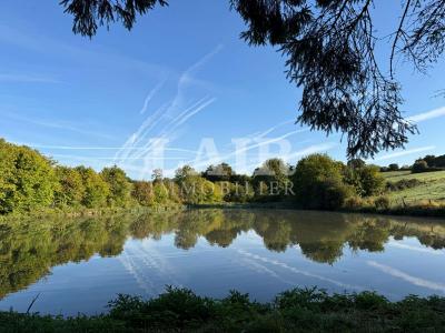 Etang De Loisir Au Pied De Moulins-la-marche
