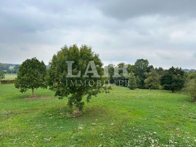Demeure De Caractere A 20 Min D\'argentan Avec Dependances Et Hectares