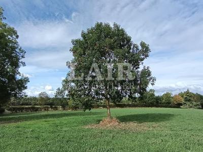 4 Bedrooms - Maison - Basse-normandie - For Sale - E14208-cpy