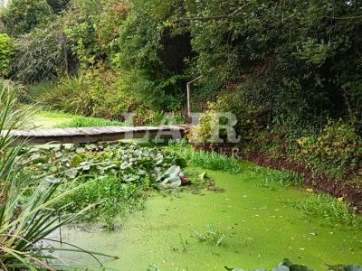 4 Bedrooms - Maison - Basse-normandie - For Sale - E14208-cpy