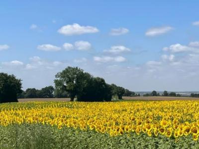 &#8364;234000 - Beautifully Renovated Former Convent, With Stunning Views