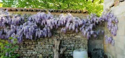 &#8364;180300 - Beautiful Farmhouse With Outbuildings And Flower-filled Courtyard