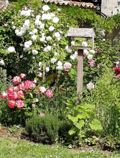 &#8364;180300 - Beautiful Farmhouse With Outbuildings And Flower-filled Courtyard