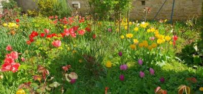 &#8364;180300 - Beautiful Farmhouse With Outbuildings And Flower-filled Courtyard