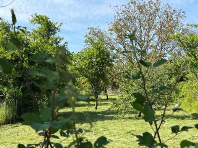 &#8364;65000 - Pretty 3 Bedroom House With Beautiful Garden - Near Nanteuil-en-vallee