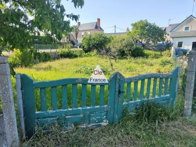 Maison De Bourg Avec Dependances Et Jardin