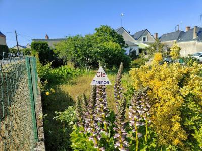 Maison De Bourg Avec Dependances Et Jardin