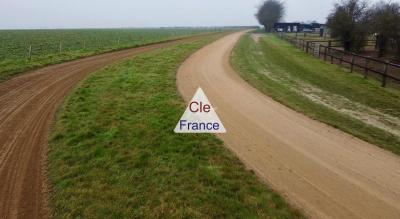 Structure Equestre Pour Entraînement Chevaux