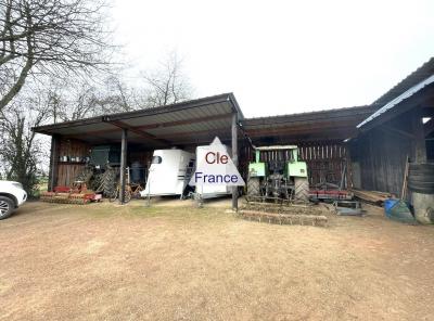 Structure Equestre Pour Entraînement Chevaux