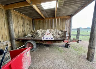 Structure Equestre Pour Entraînement Chevaux