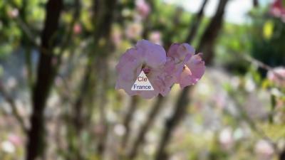 Demeure De Caractere