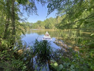 Proche Gien à 1:40 De Paris Sud Bel Etang Dans Cadre Boise