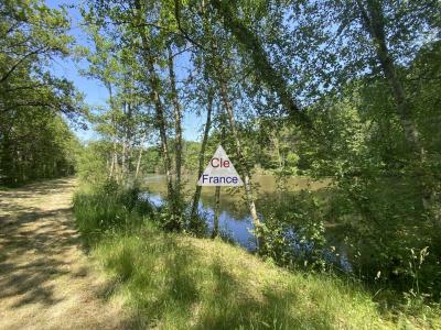 Proche Gien à 1:40 De Paris Sud Bel Etang Dans Cadre Boise