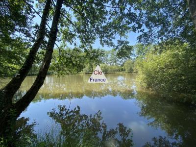 Proche Gien à 1:40 De Paris Sud Bel Etang Dans Cadre Boise