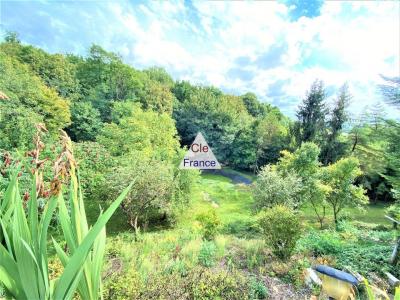 A1:30 De Paris Briare Maison 5 Chambres Sur Parc De 3300m2 De Terrain Arbore.