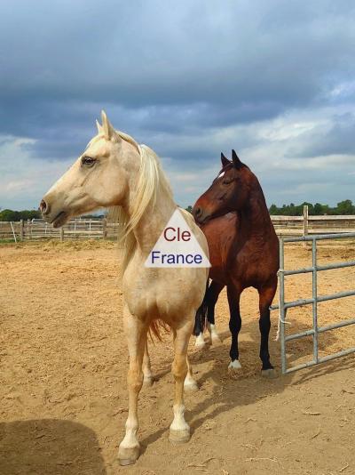 Aimargues - Propriete Equestre De 15 Hectares à Proximite De La Mer, Au Calme