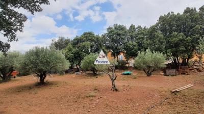 Maison De Plain-pied Avec Cadre Idyllique 4000 M² De Terrain