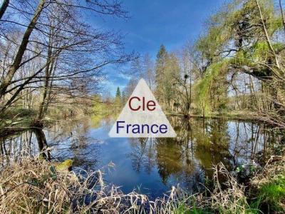 Proche Gien Batisse En Pierre Avec Etang Sur 5 Hectares