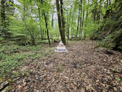 Saint-paul-sur-isere (73730) : Foret De 7430 M² Avec Ruisseau