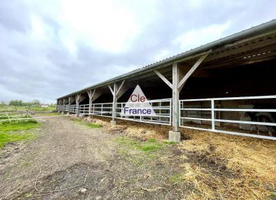 Propriete Equestre Sur 12 Hectares Proche Deauville Et Lisieux