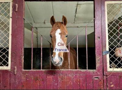 Propriete Equestre Sur 12 Hectares Proche Deauville Et Lisieux