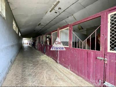 Propriete Equestre Sur 12 Hectares Proche Deauville Et Lisieux