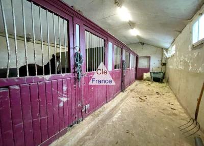 Propriete Equestre Sur 12 Hectares Proche Deauville Et Lisieux