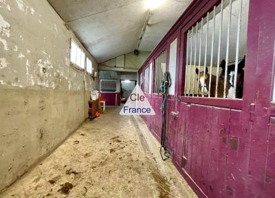 Propriete Equestre Sur 12 Hectares Proche Deauville Et Lisieux