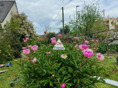 Angers Quartier Hopital- Bichon