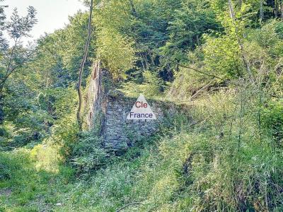 Barronies - Grange à Renover, 17185m2 De Terrain/bois