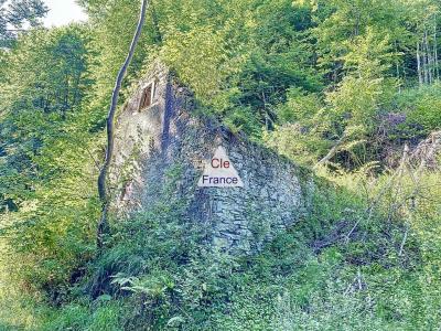 Barronies - Grange à Renover, 17185m2 De Terrain/bois