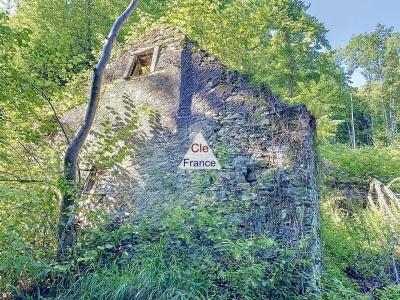 Barronies - Grange à Renover, 17185m2 De Terrain/bois