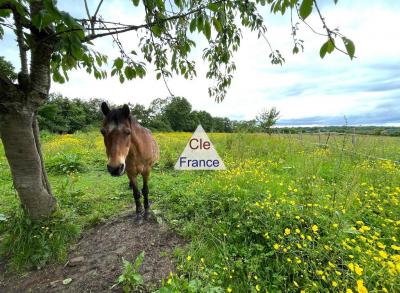 Magnifique Propriete Situee Au Cur Du Pays D\'auge