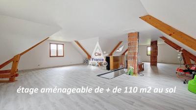 Vaste Et Confortable Maison à Vendre à Cepoy 45120