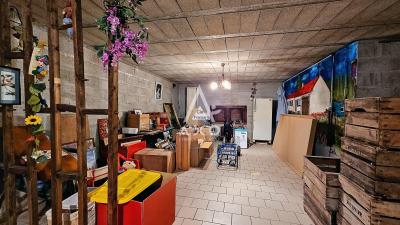 Vaste Maison à Vendre à Proximite De Cepoy 45120