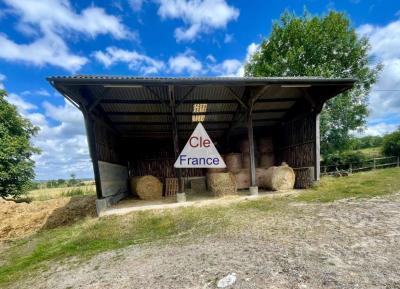 Ecurie Sur 10 Hectares