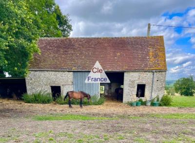 Ecurie Sur 10 Hectares