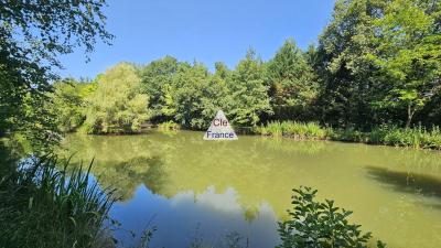 Demeure De Pierre/ Ancien Moulin