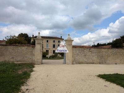 Ancienne Propriete Viticole Avec Maison De Maître Et Dependances.