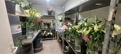 Fonds De Commerce Fleuriste