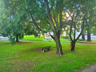 Vue Sur Parc Arbore